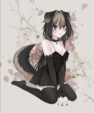 Shiba Girl Shiba Girl